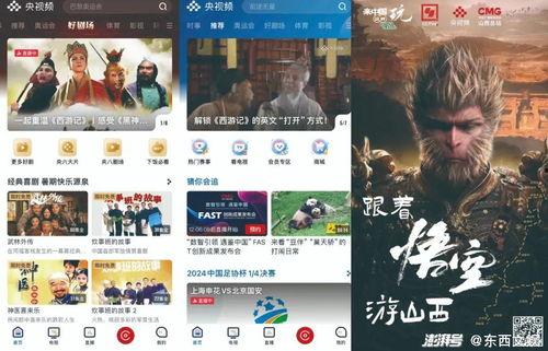 国产精品视频在线看